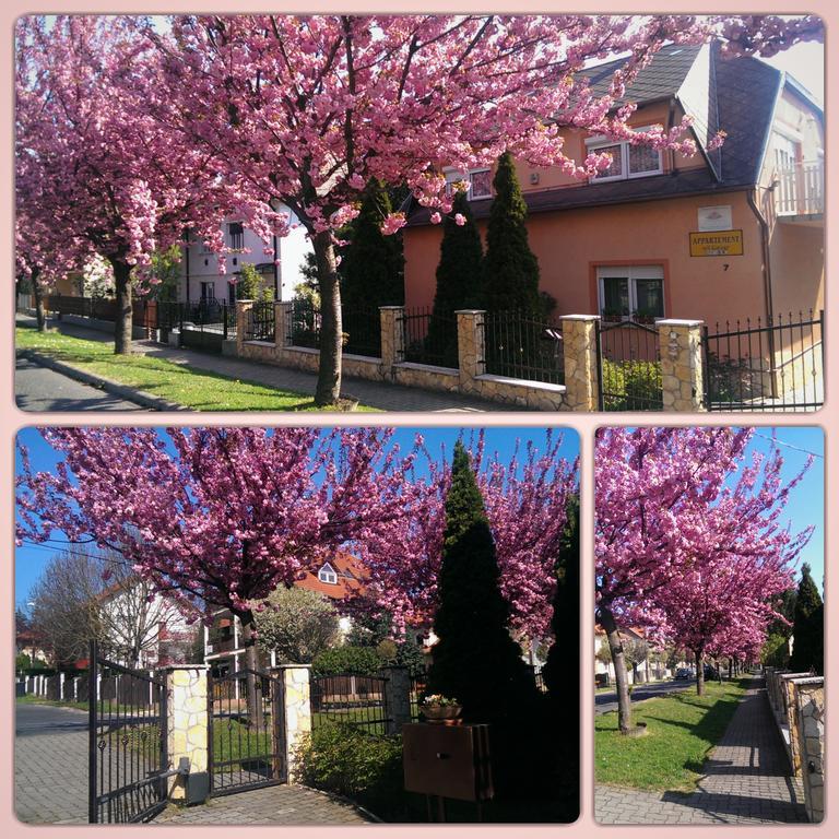 Szecsenyi Apartman Heviz Exterior photo